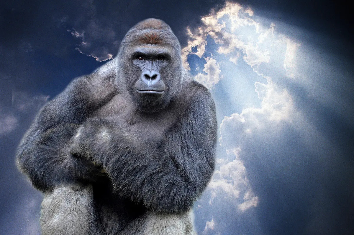 RIP HARAMBE